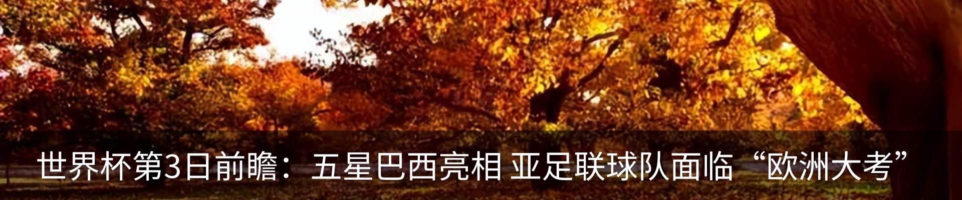 内页banner