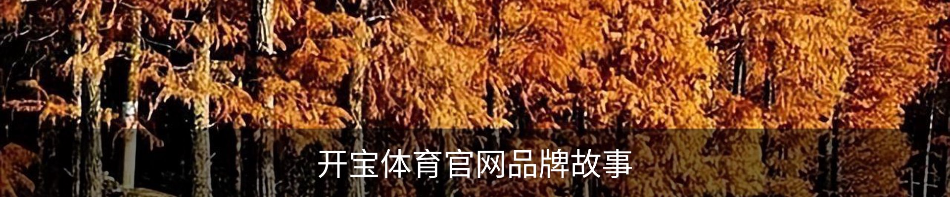 内页banner